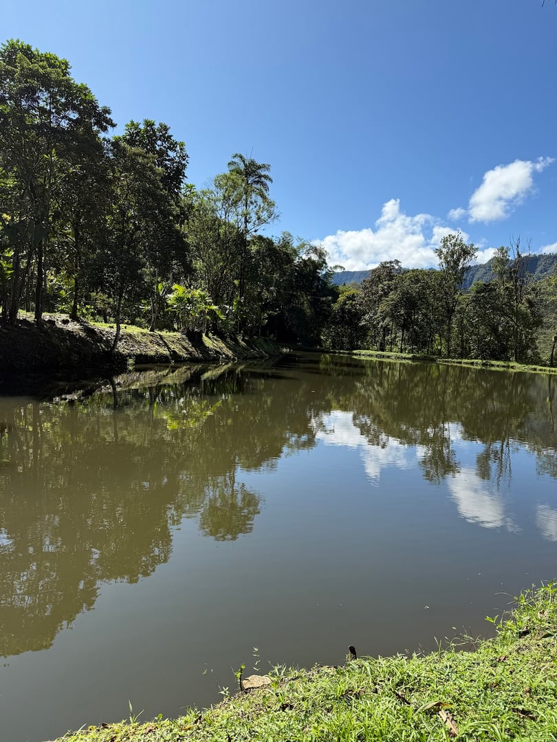 Hayulima: Spirituelle und Pflanzenmedizin-Retreats