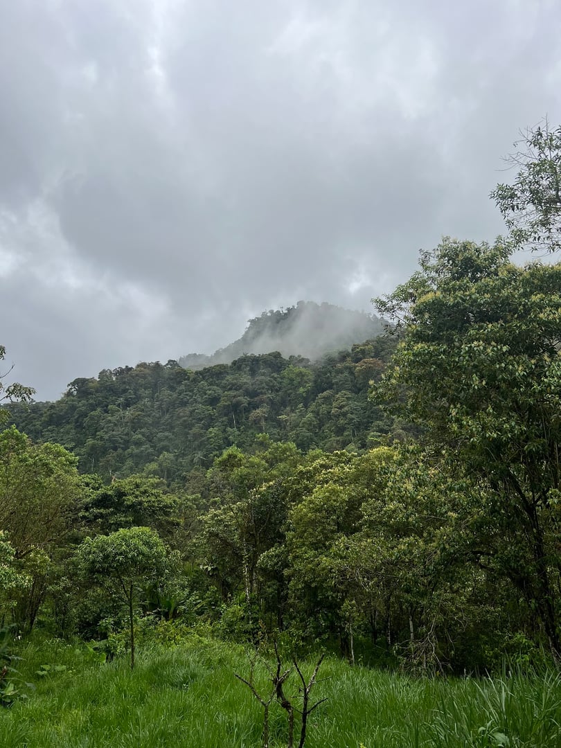 Hayulima: Spirituelle und Pflanzenmedizin-Retreats