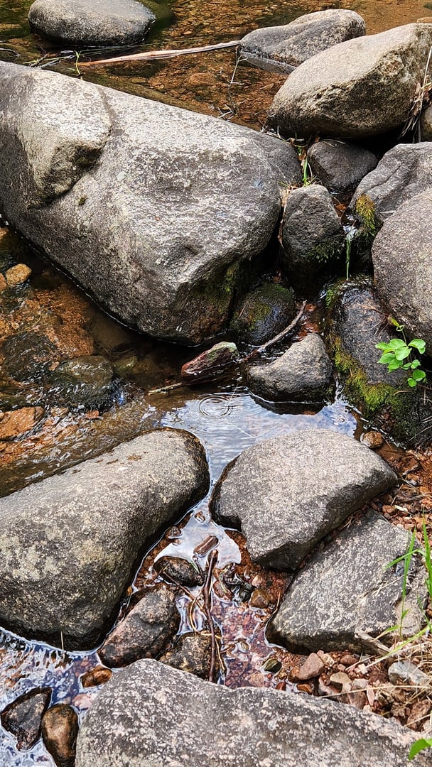 Nature und Wildtiere Entdeckungszentrum - Mountain Campus