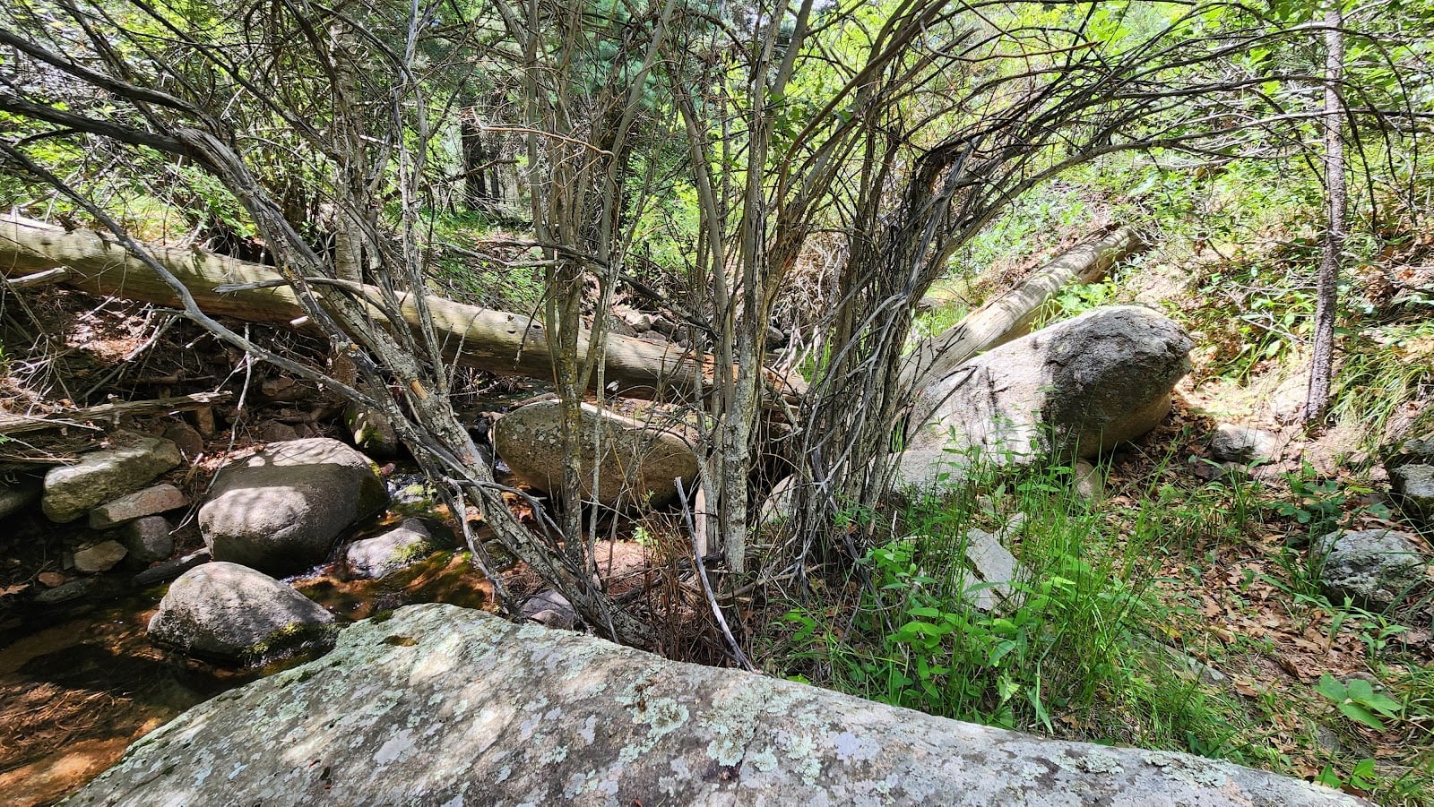 Nature und Wildtiere Entdeckungszentrum - Mountain Campus