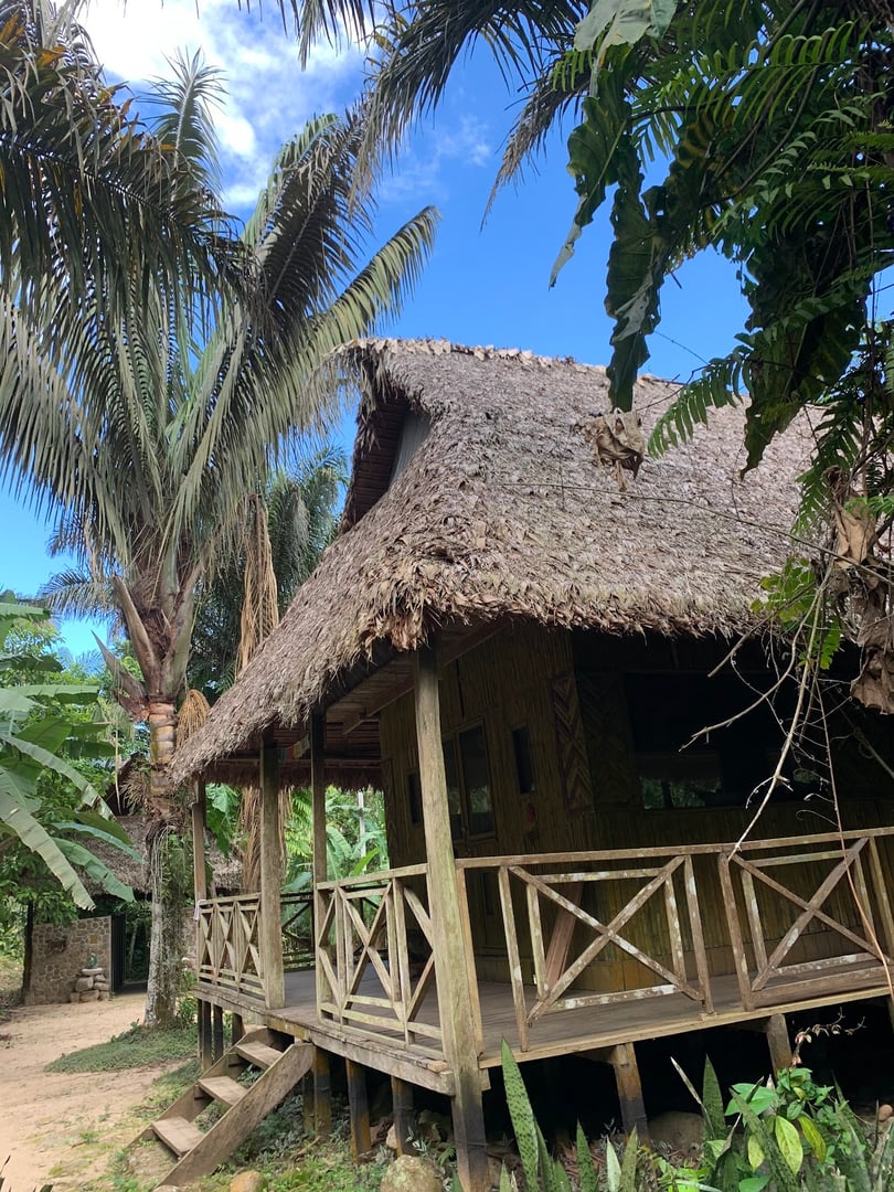 SACHARUNA Schamanische Heilungsretreats