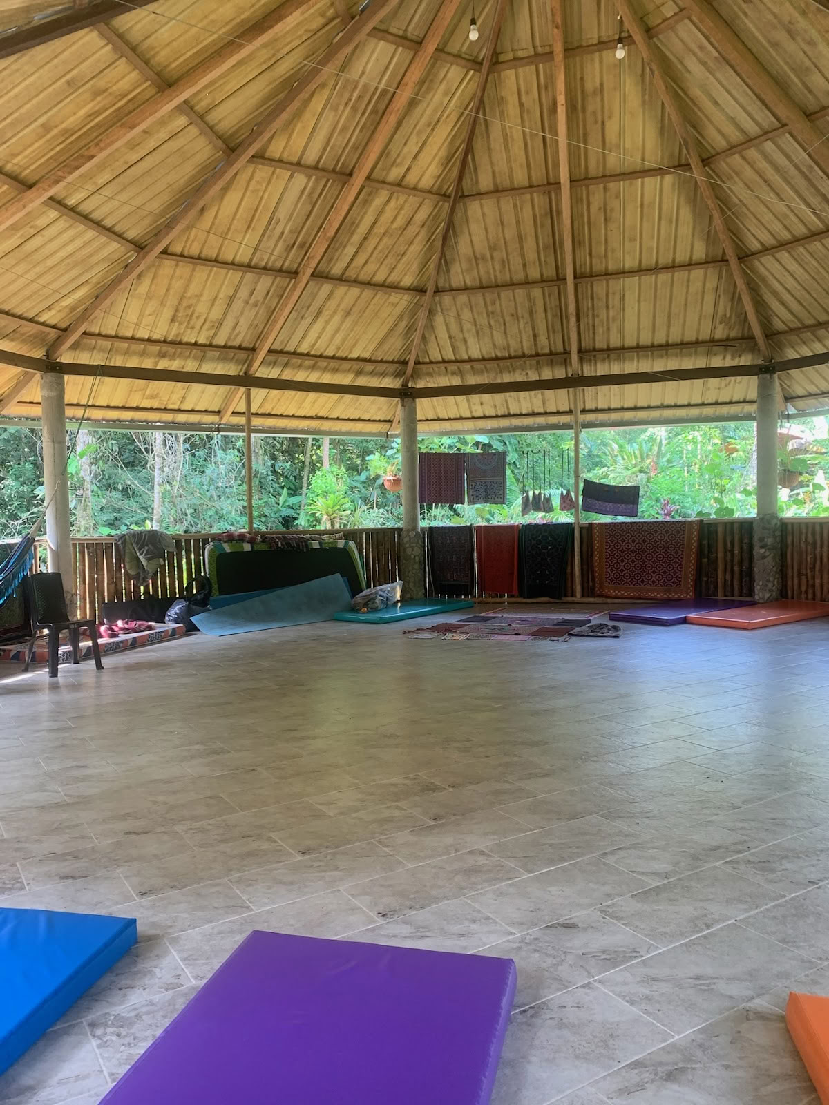 Federkrone Ayahuasca Ecuador