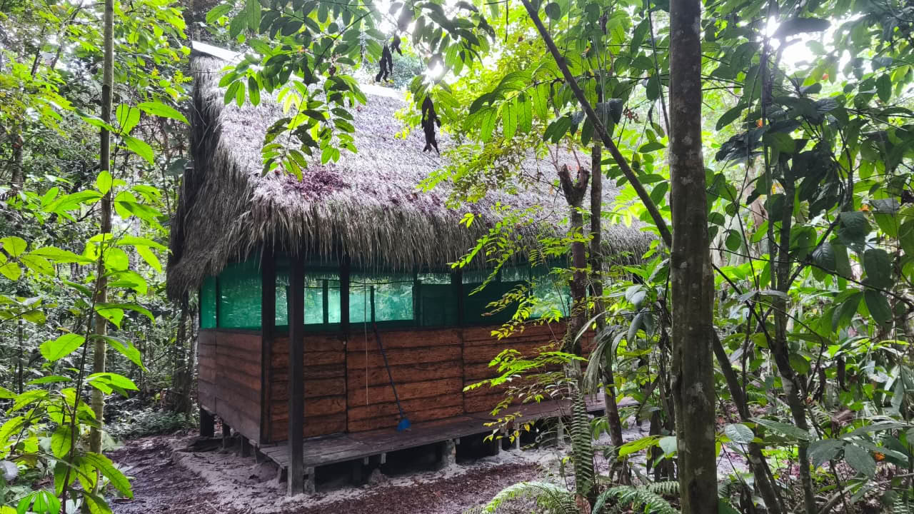 Naturalia Retreat-Zentrum | Ayahuasca-Retreat in Peru