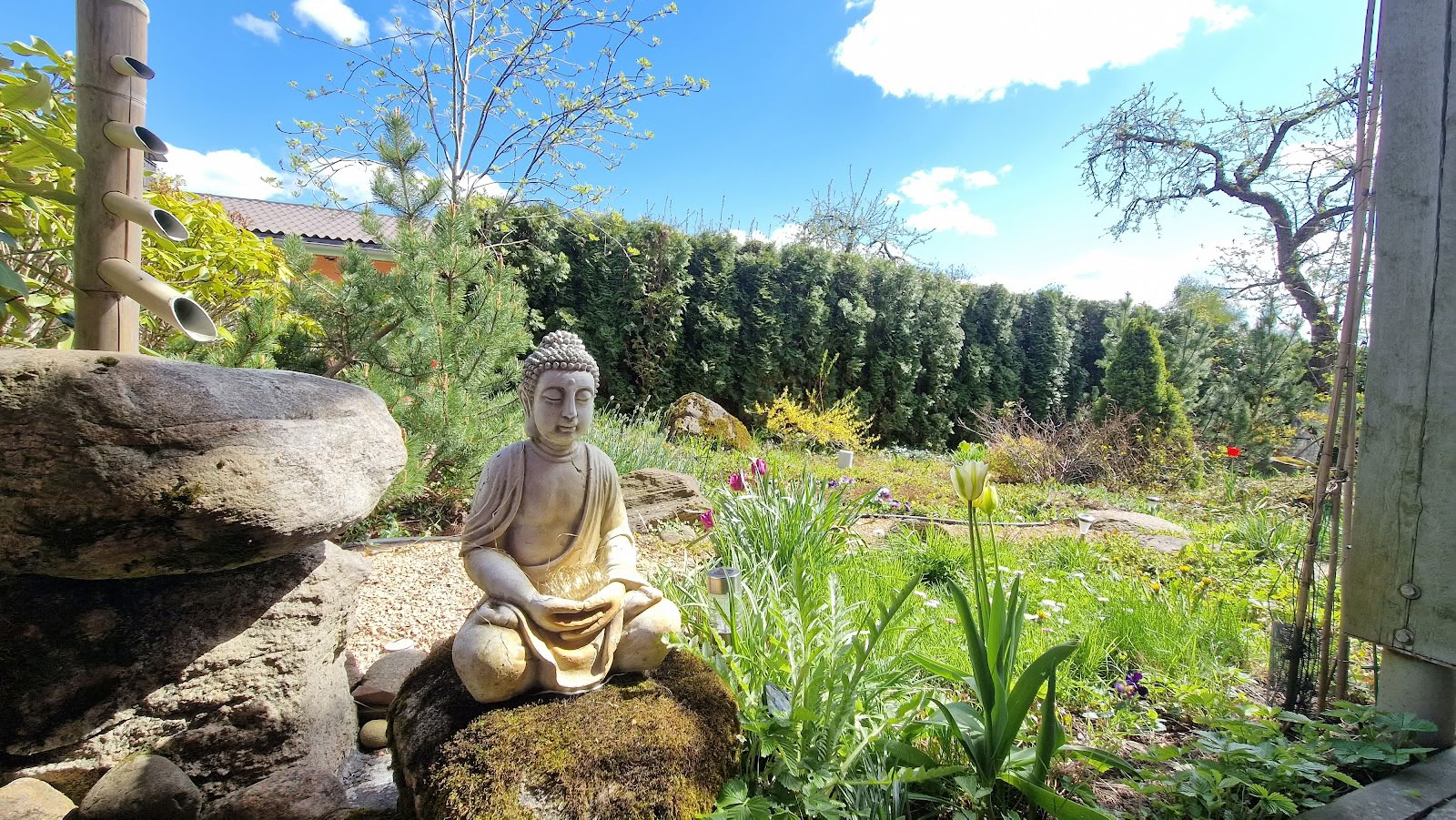 Meditationszentrum Ojas, Resort / OJAS Meditation Center Resort