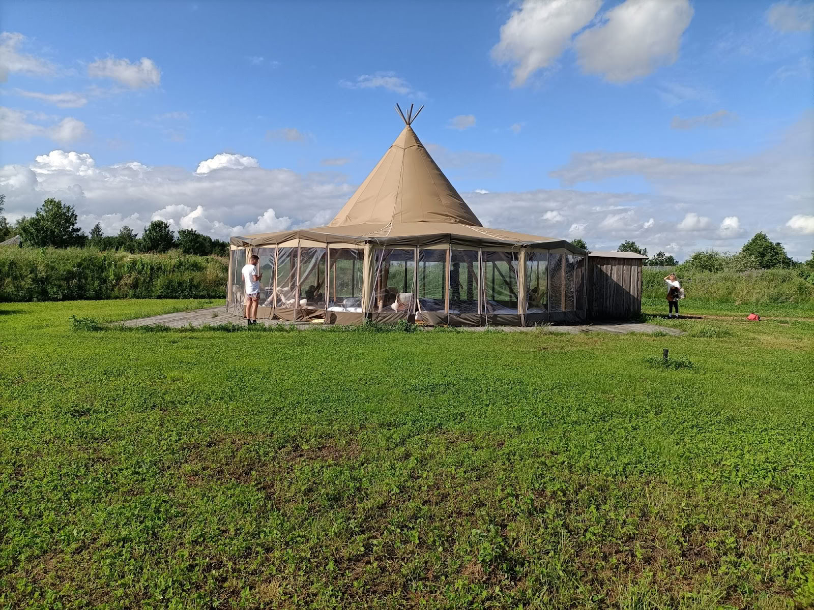 Experiential Training Institute - Psychedelische Psilocybin-Retreats & Training