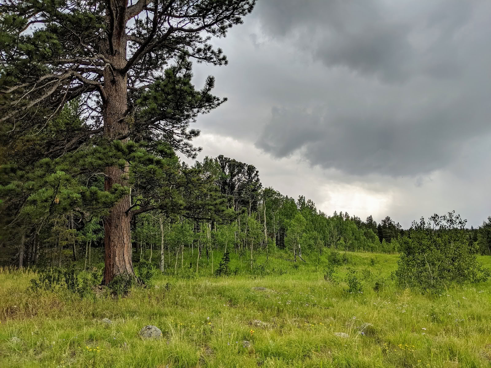 Rocky Mountain Ecodharma-Retreat-Zentrum