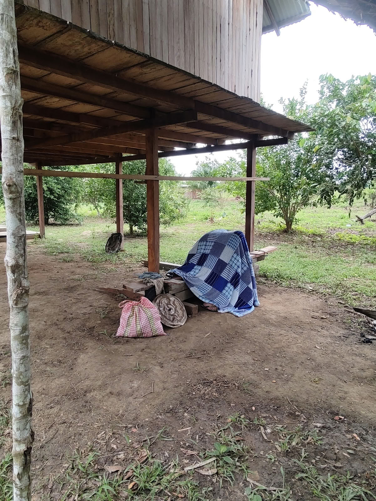 Shipibo Ayahuasca & Schamanismus Stiftung