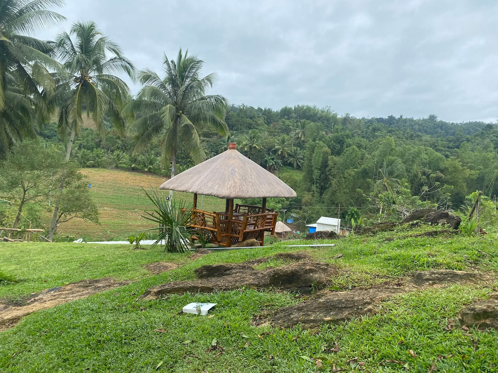 Wellnessland Wholeness Farm