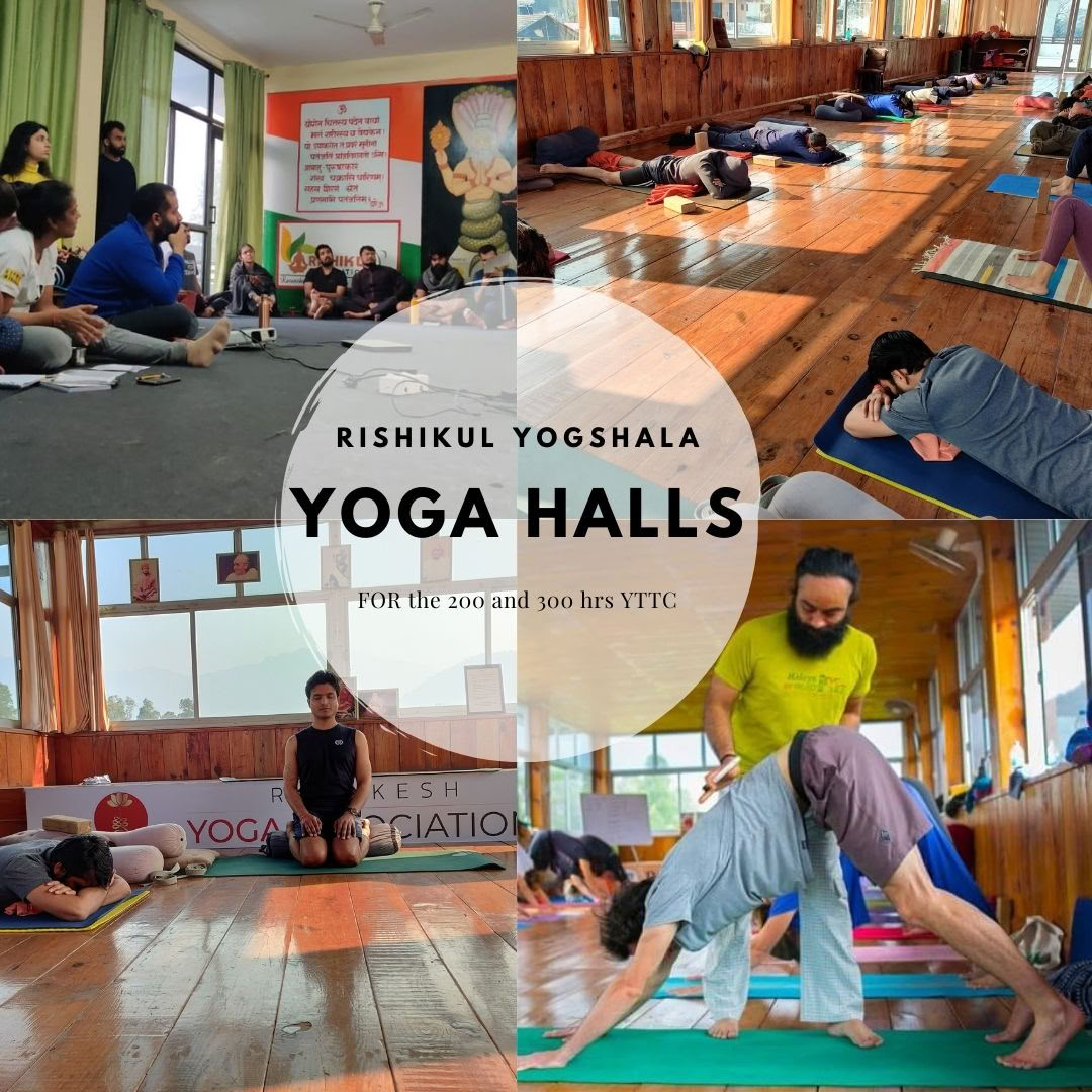 Rishikul Yogshala Rishikesh - Yogalehrerausbildung in Rishikesh, Indien