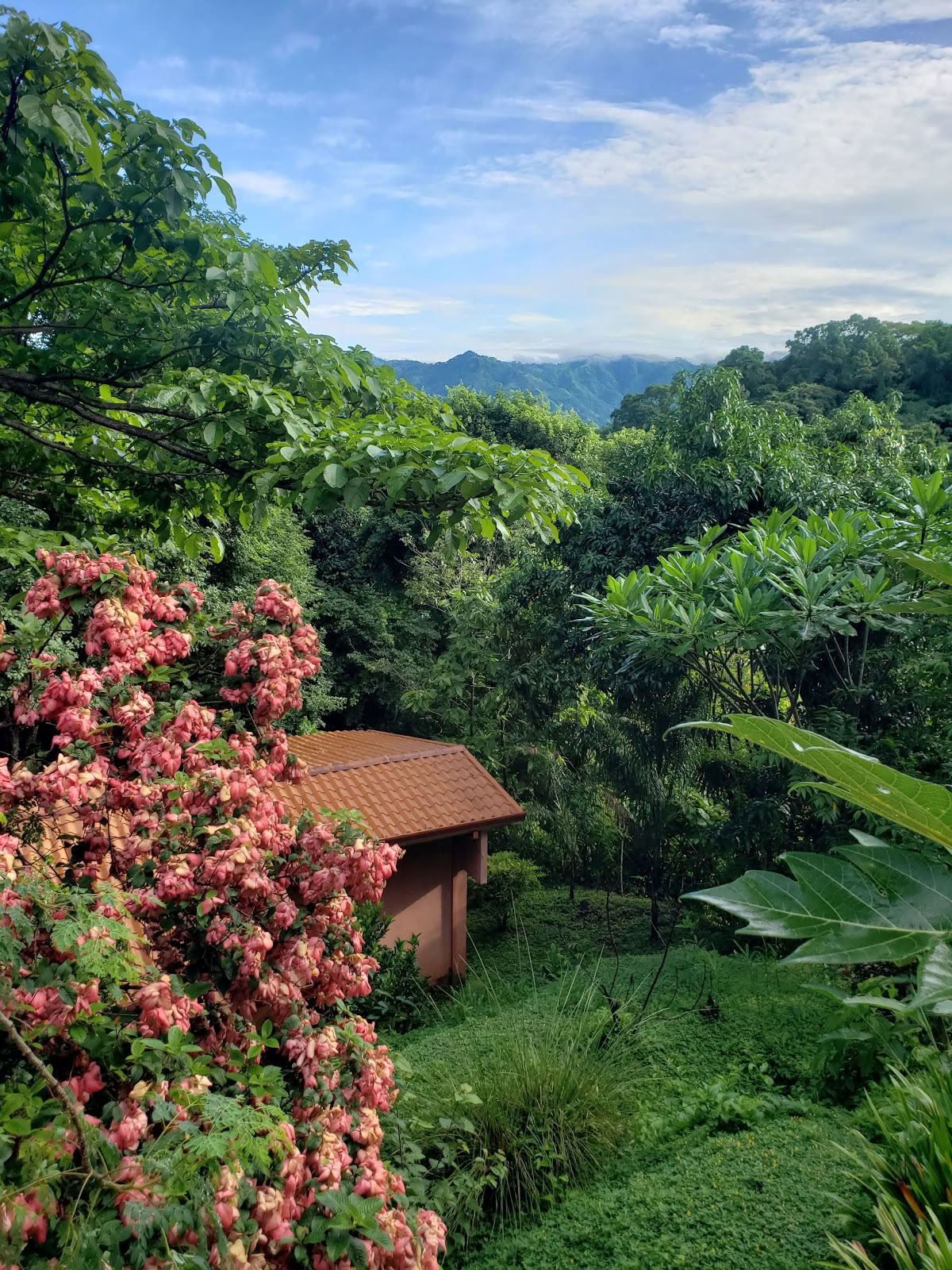 AmaTierra Yoga-Retreat und Wellness-Center