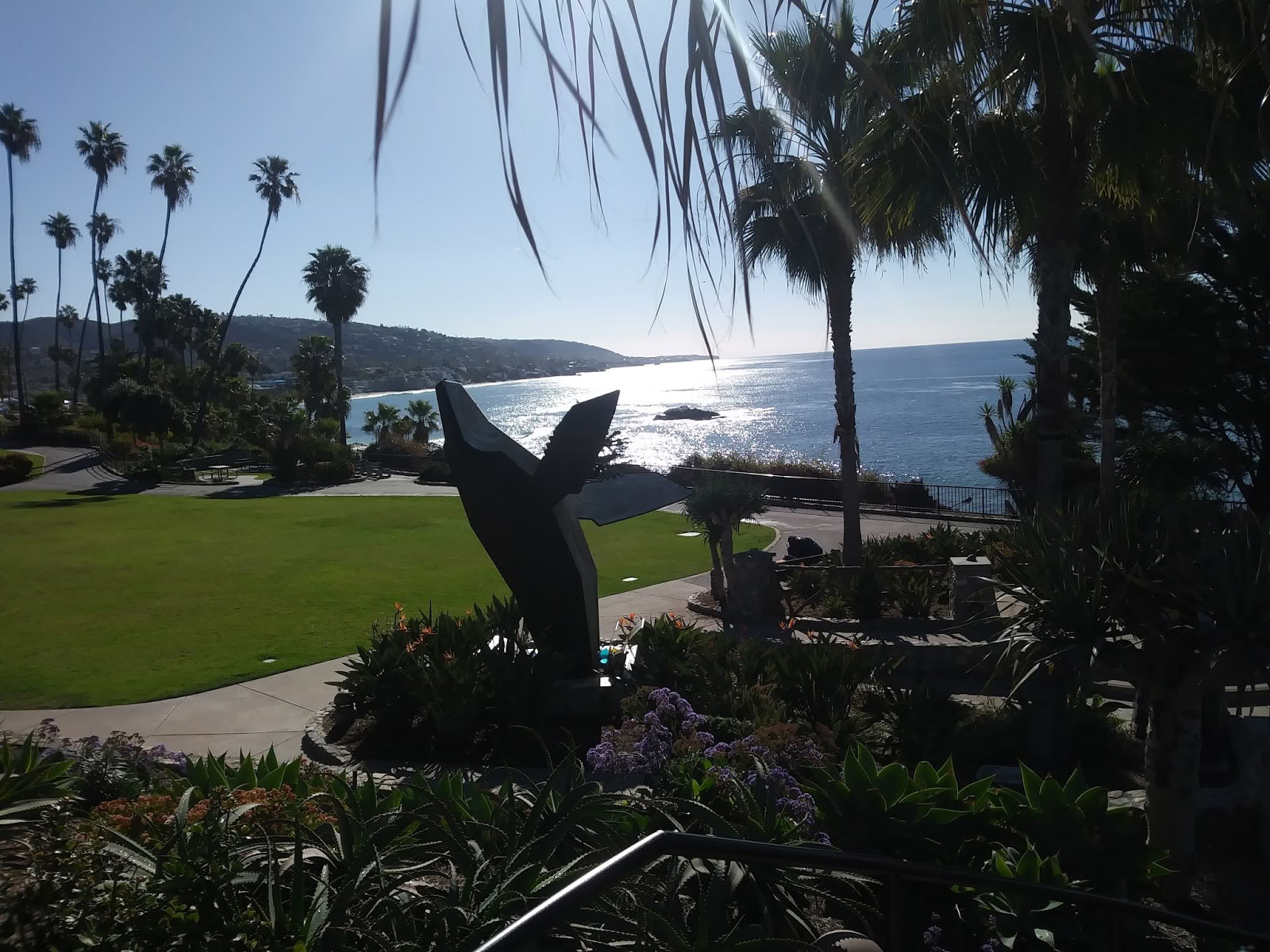 Ich liebe Laguna Tours & Events
