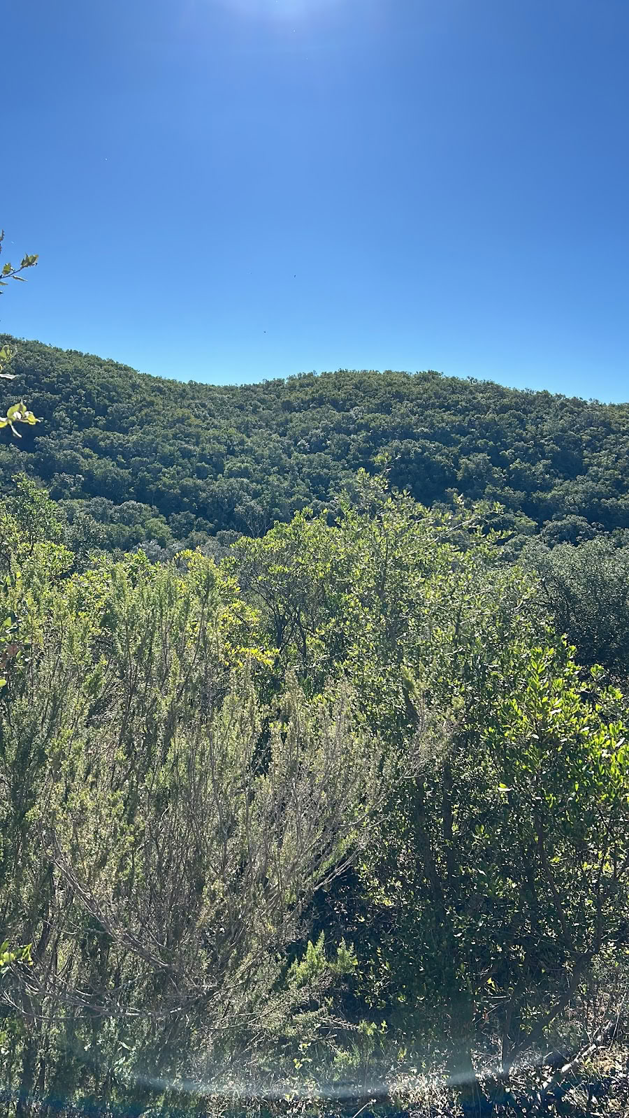 Essencia Natur-Retreat