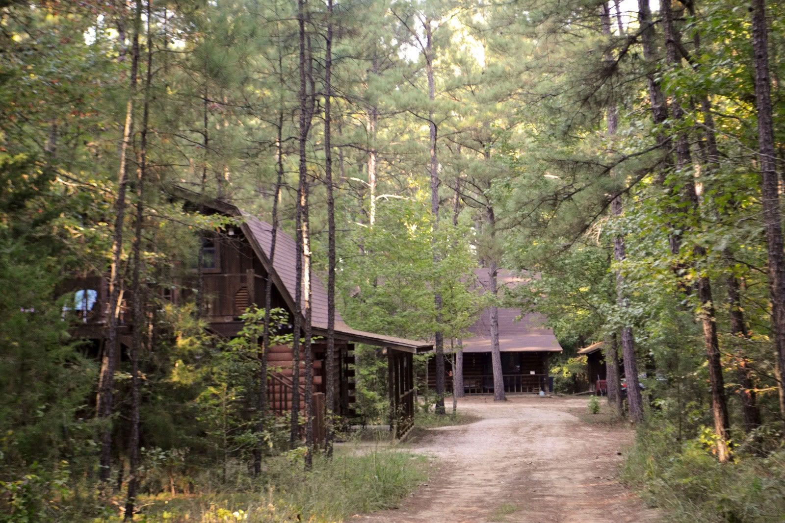 Retreat in den Pinien