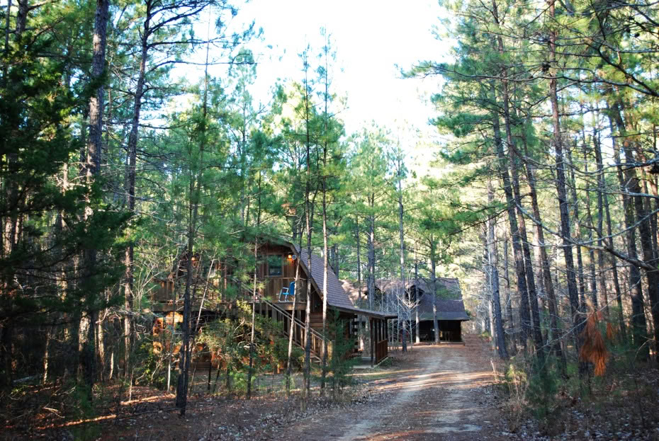 Retreat in den Pinien