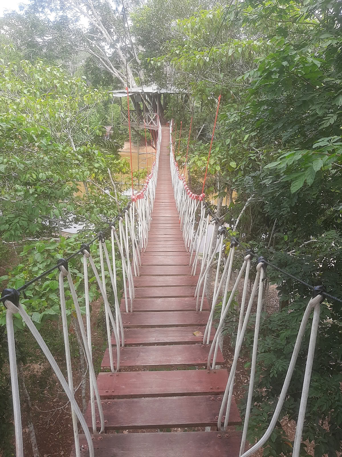 El Purguero Ayahuasca Retreat