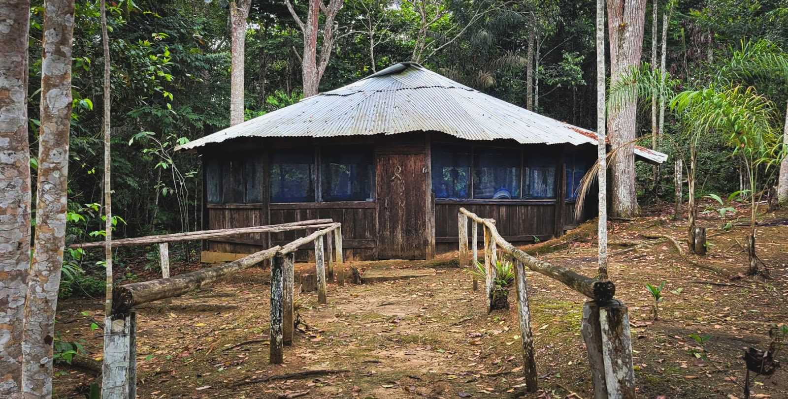 El Purguero Ayahuasca Retreat