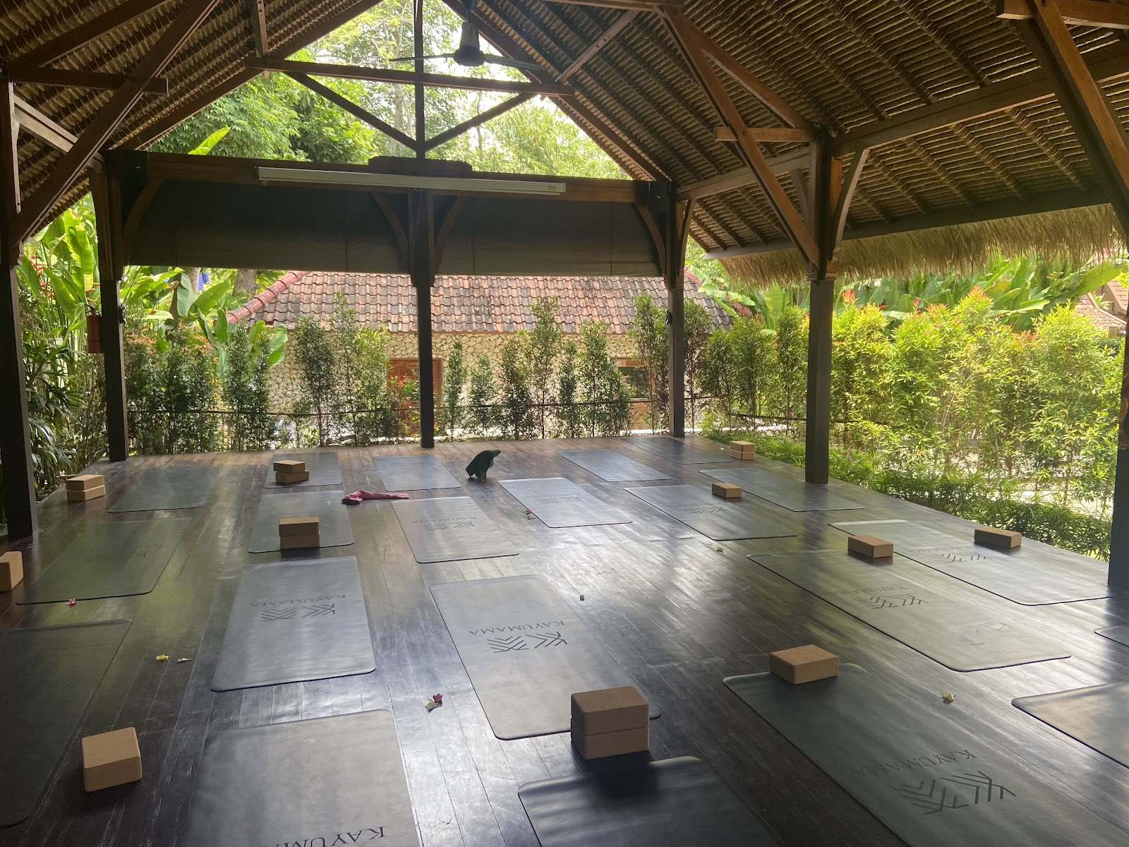 SoHA School of Healing Arts - Yoga-Lehrerausbildungen