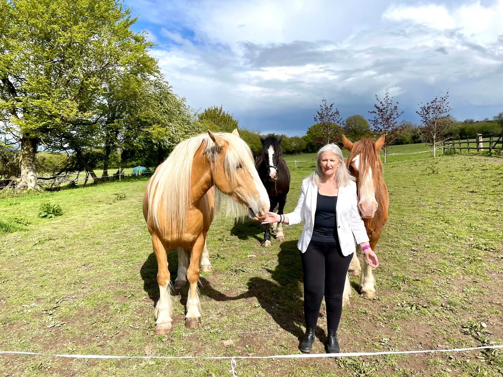 Epona Retreat Centre