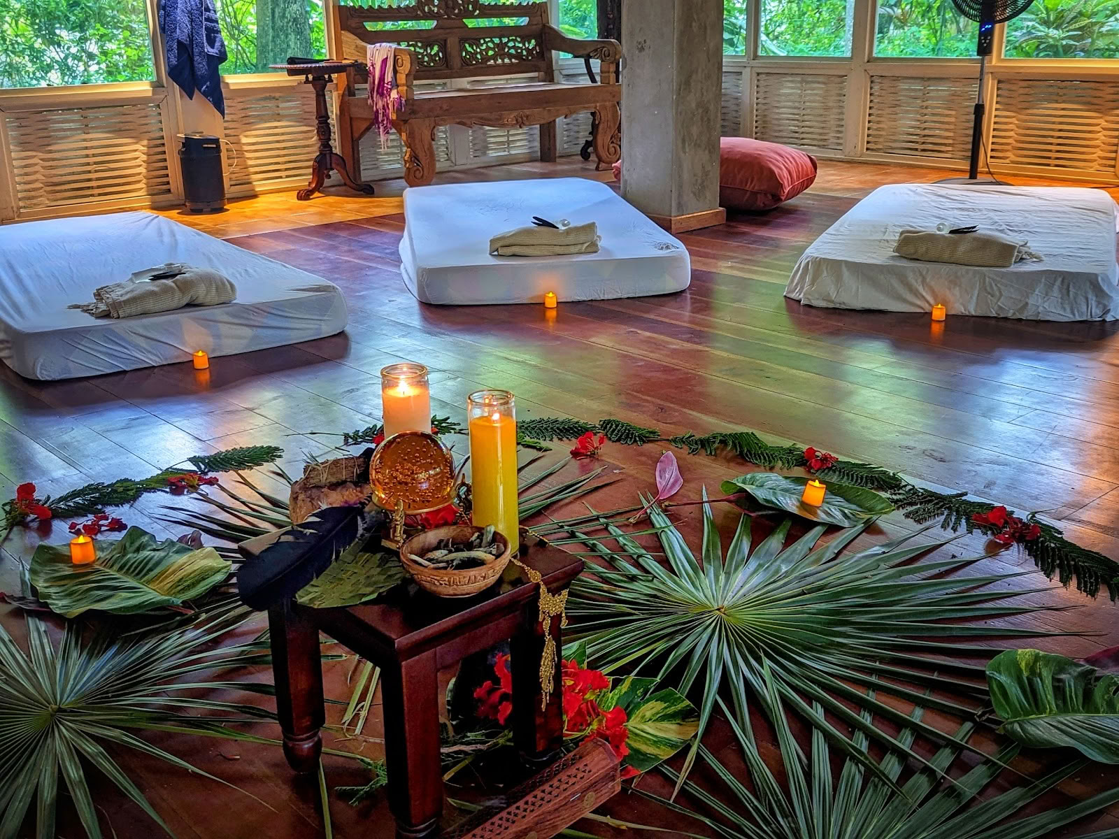 ONE Retreats | Psilocybin-Pilz-Retreats