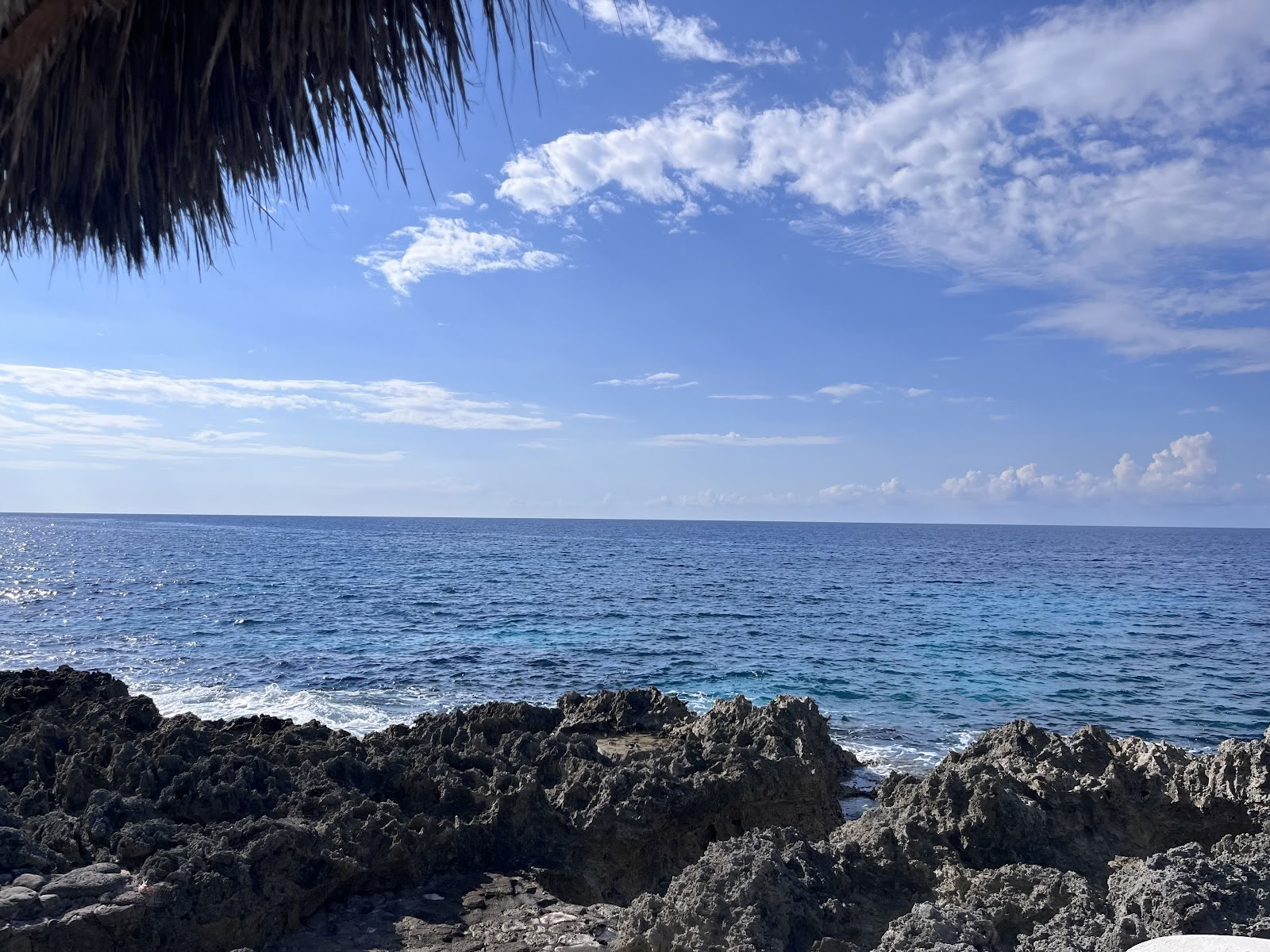 ONE Retreats | Psilocybin-Pilz-Retreats