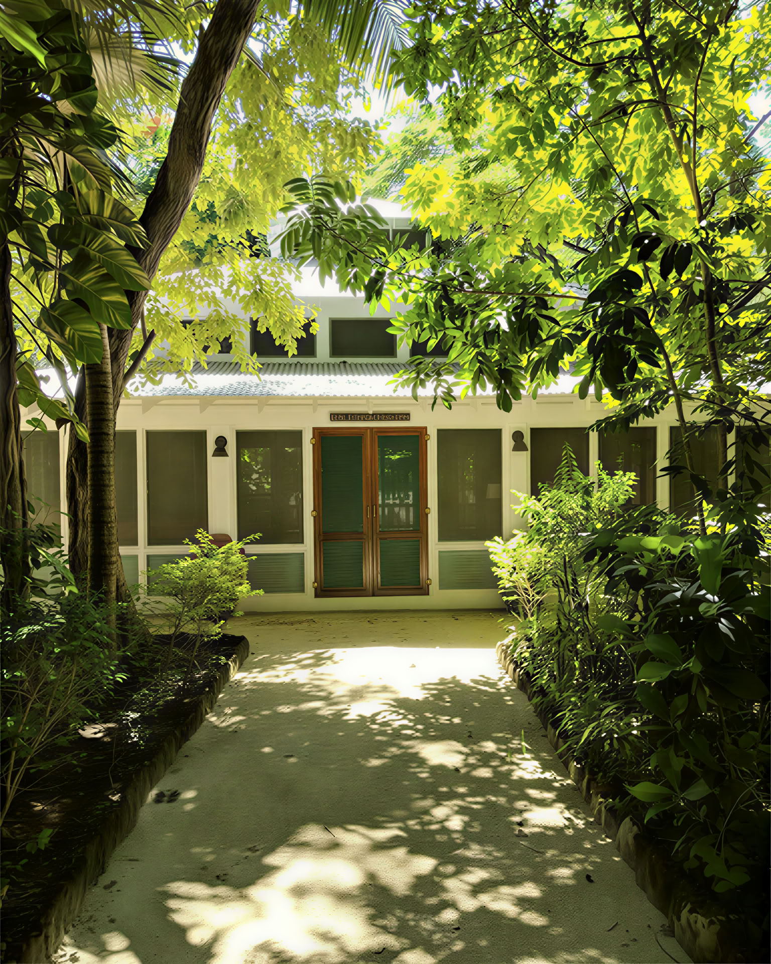 ONE Retreats | Psilocybin-Pilz-Retreats