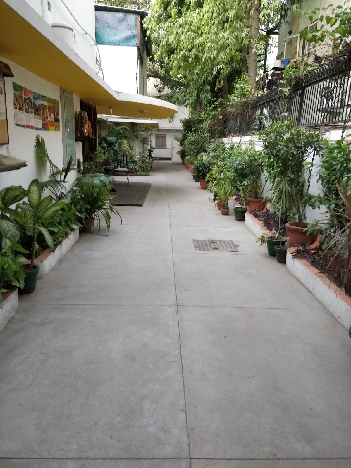Sivananda Yoga, Süd-Delhi