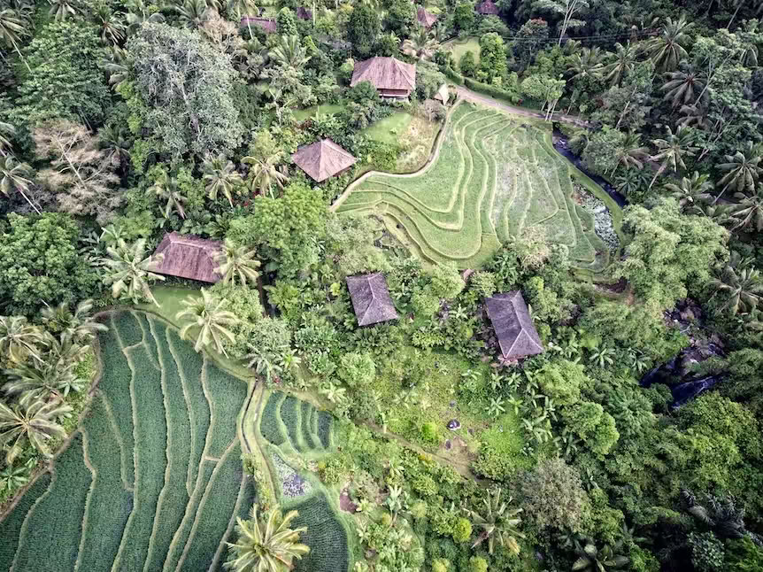 Purna Yoga Bali | Ashtanga Yoga Retreats & Trainings