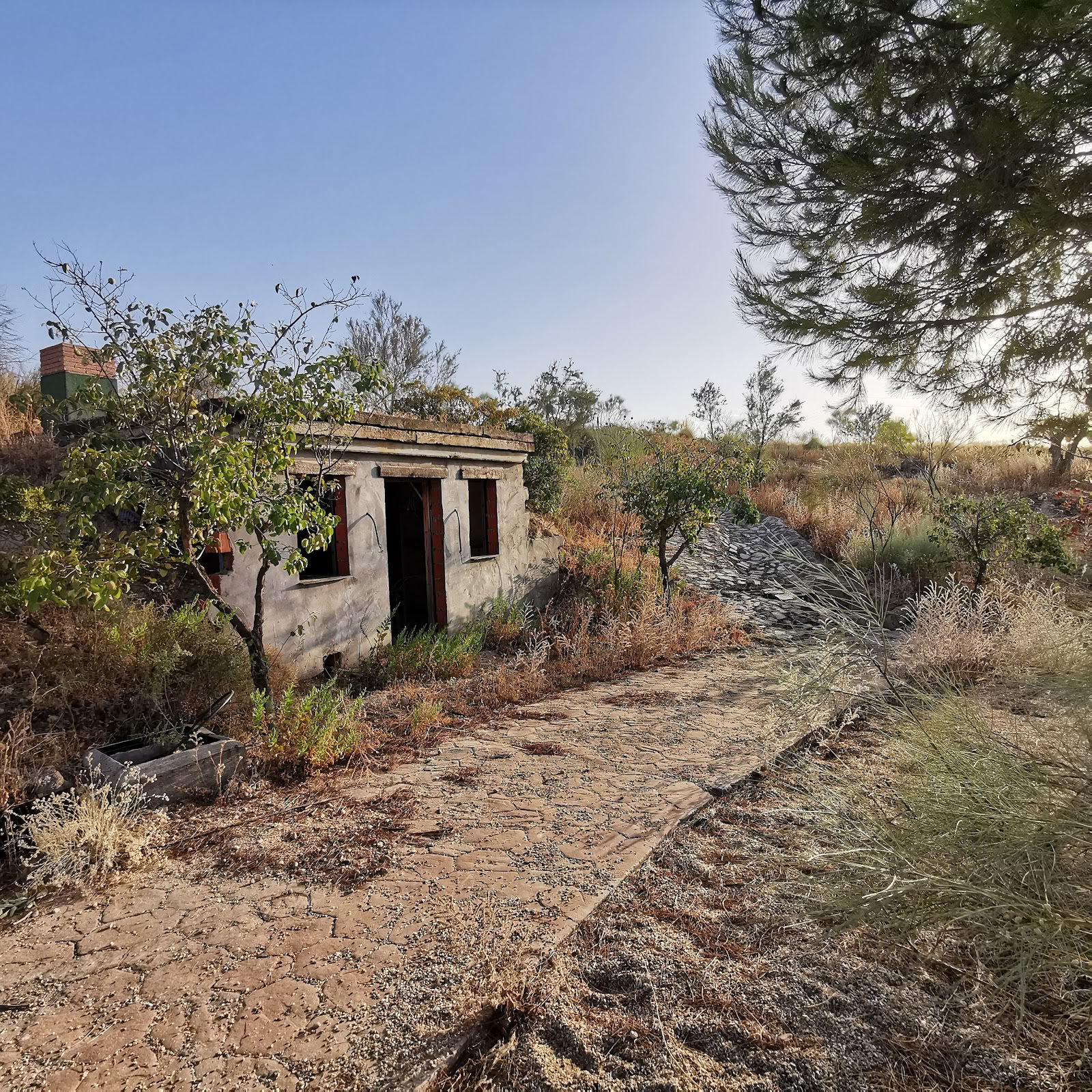 Qiterra Finca für Retreats, Ausbildungen und Workshops