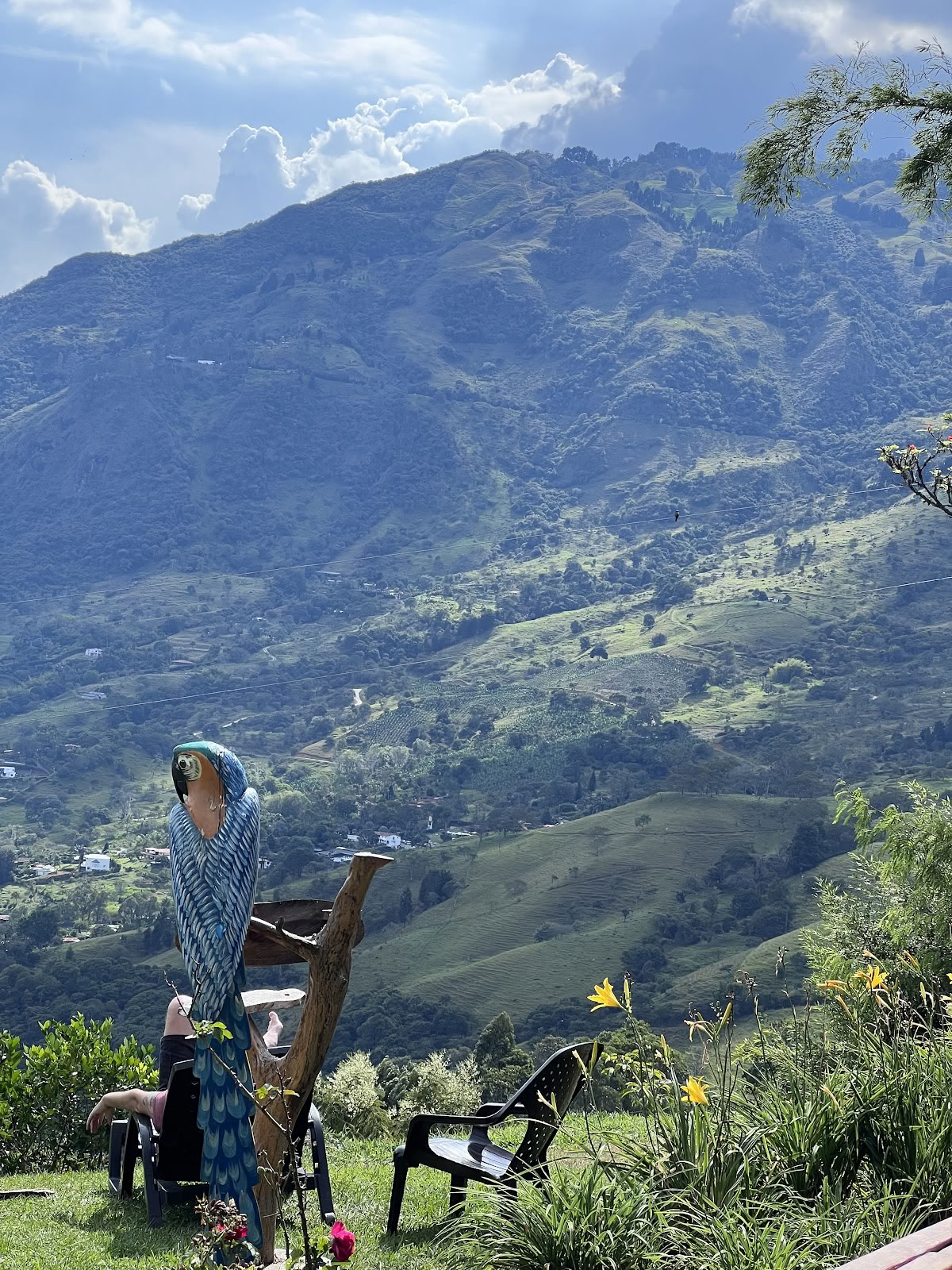 Harmonica Ayahuasca Retreat Colombia (früher Guacamayo)
