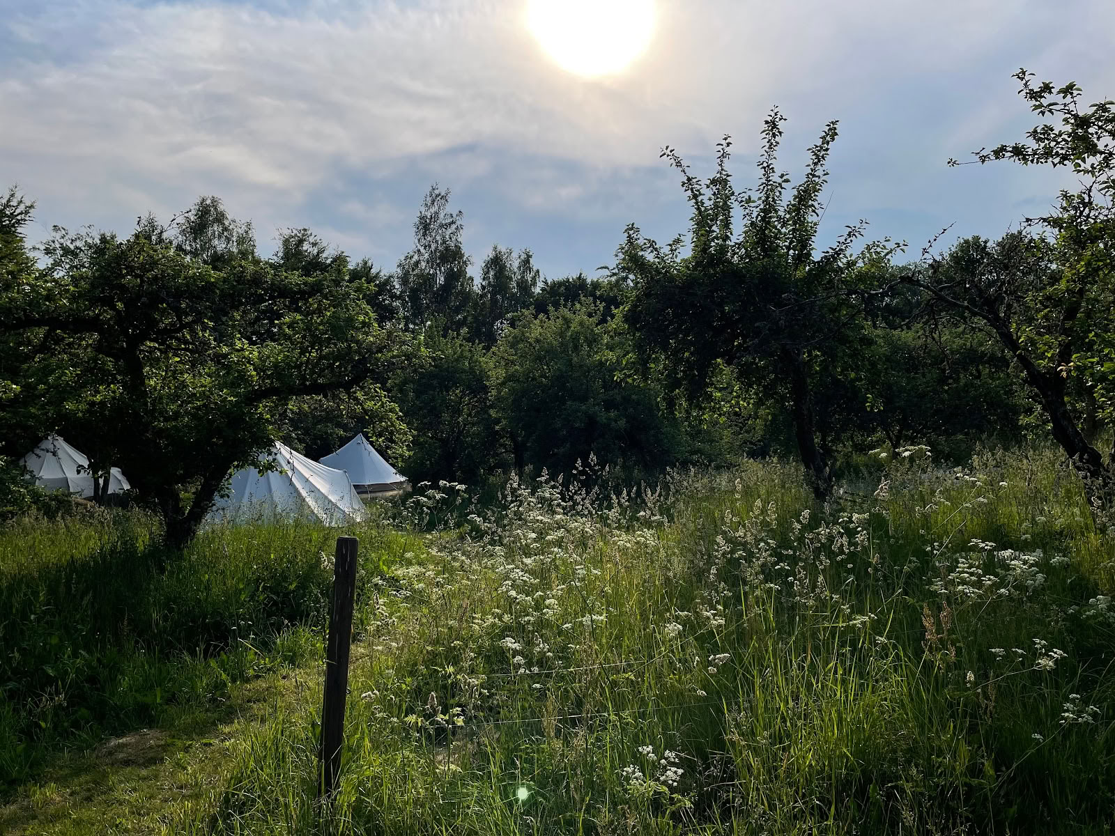 Nina Medicina Retreats, Trainings, Breathwork & Cacao-Zeremonien