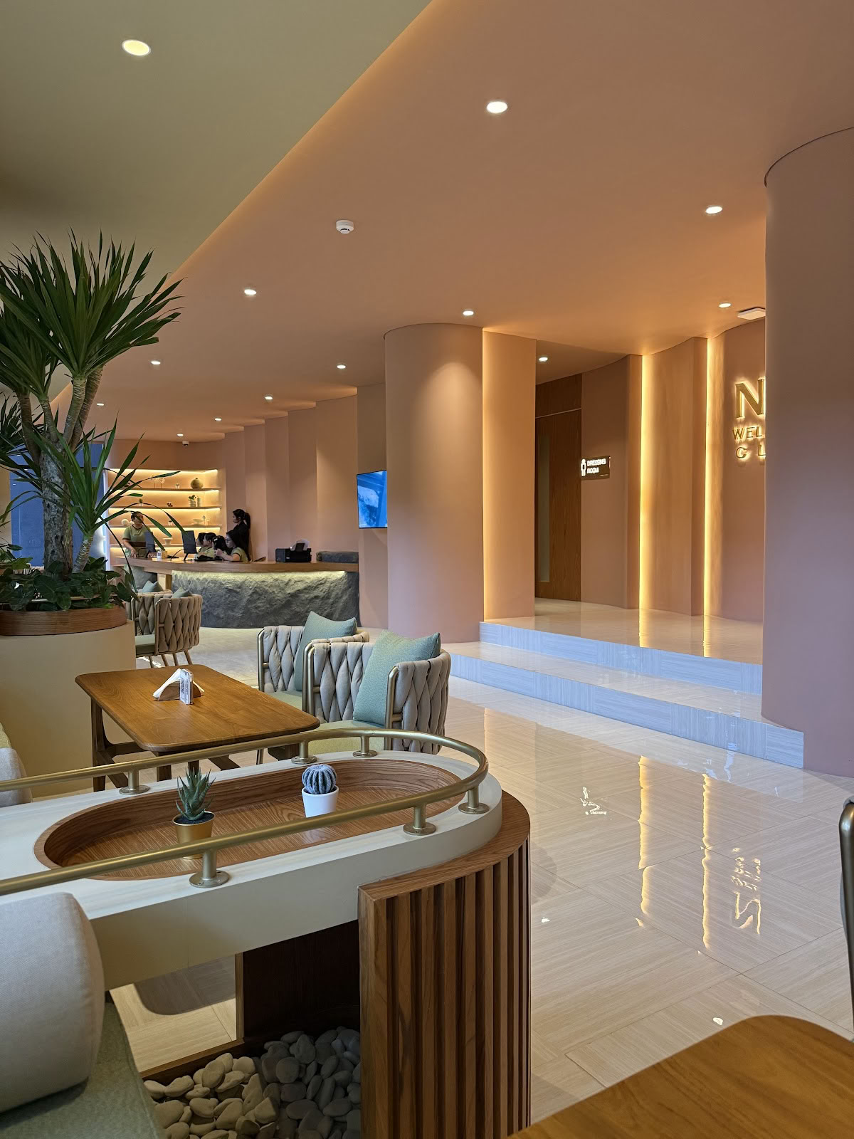 No1 Wellness Club