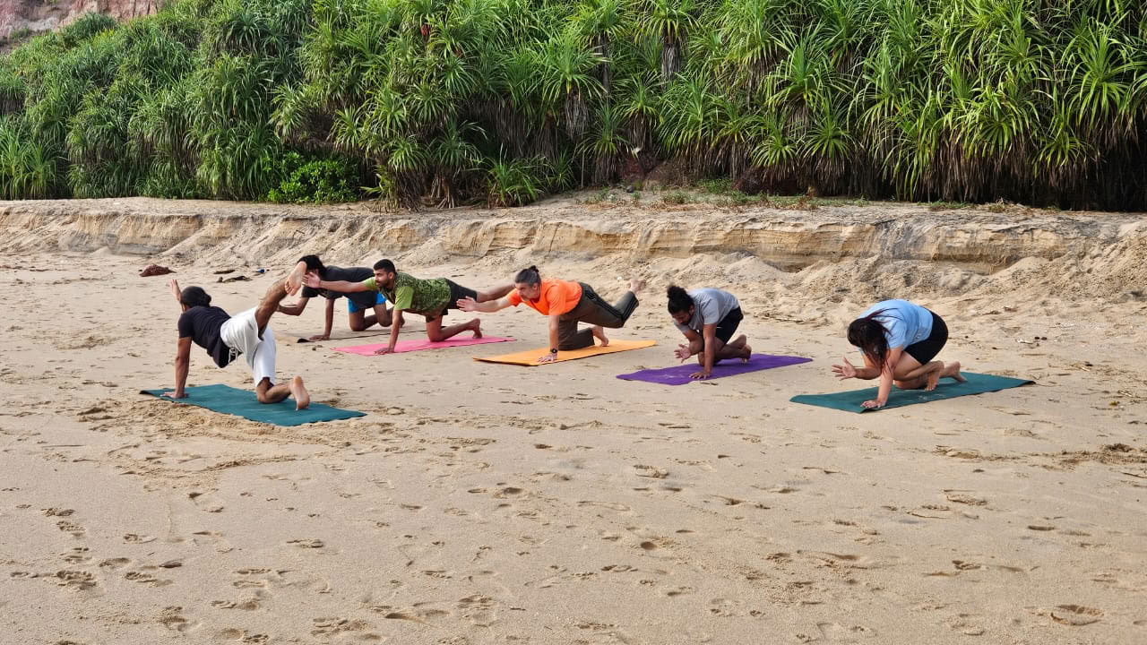 Rishikul Yogshala - Yoga-Lehrer-Ausbildung in Kerala