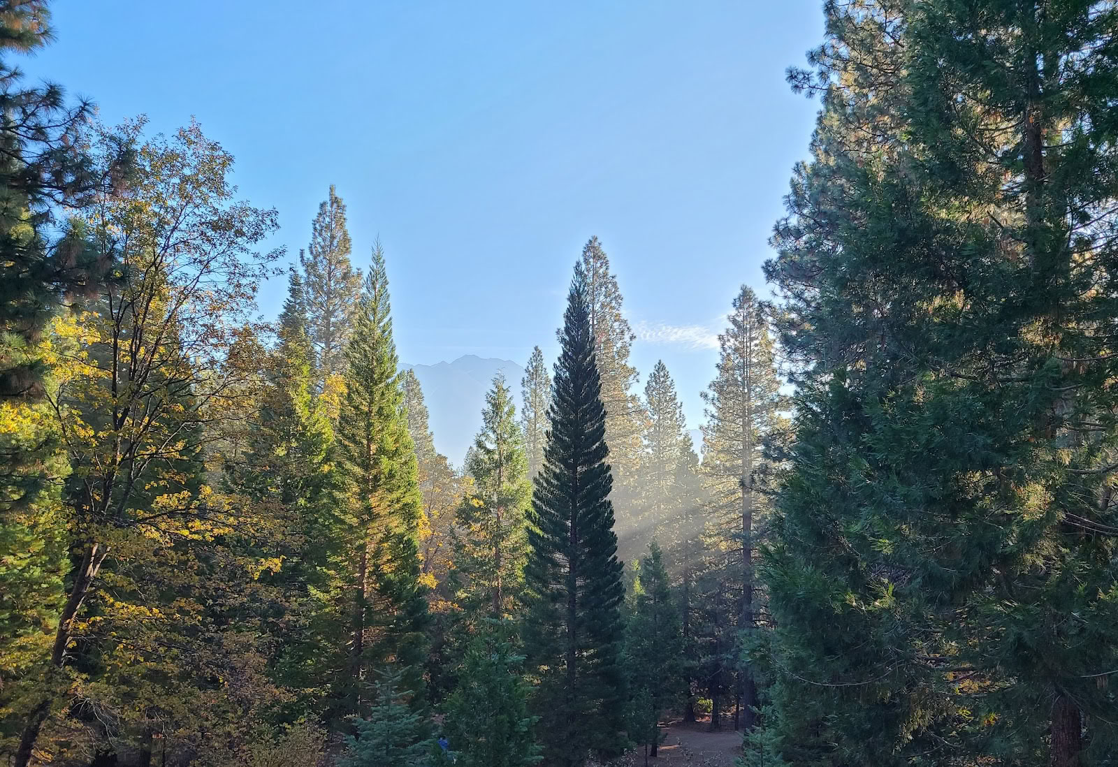 Sacred Valley Spirituelle Retreats
