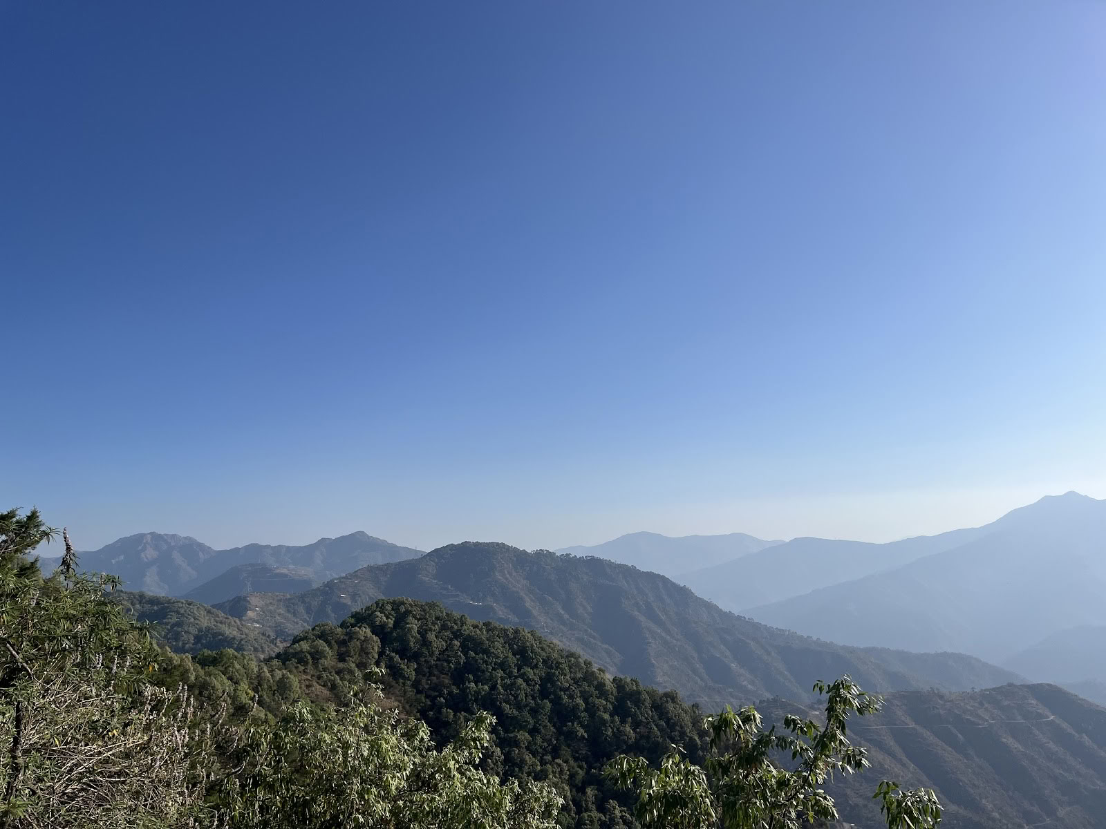 Japam Yoga, Treks und Tours LLP (Studio)