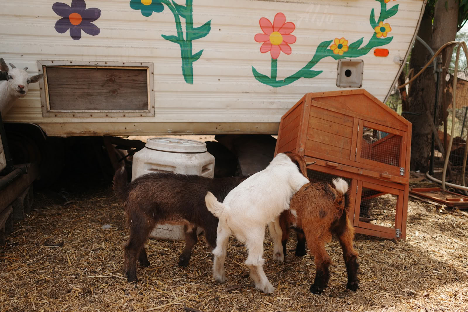 Splitrock Farm und Retreat