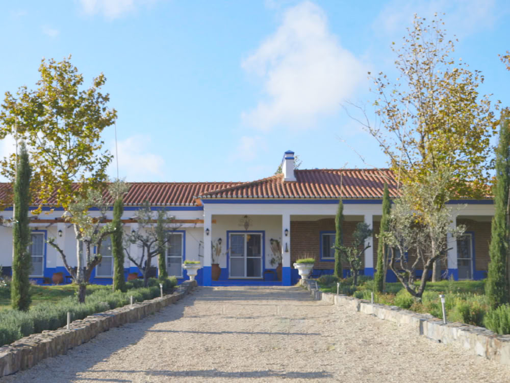 Tabula Rasa Retreat - Europas bevorzugtes Ibogaine-Behandlungszentrum für luxuriöse Ibogaine-Behandlung | Therapiepraxis | Sucht