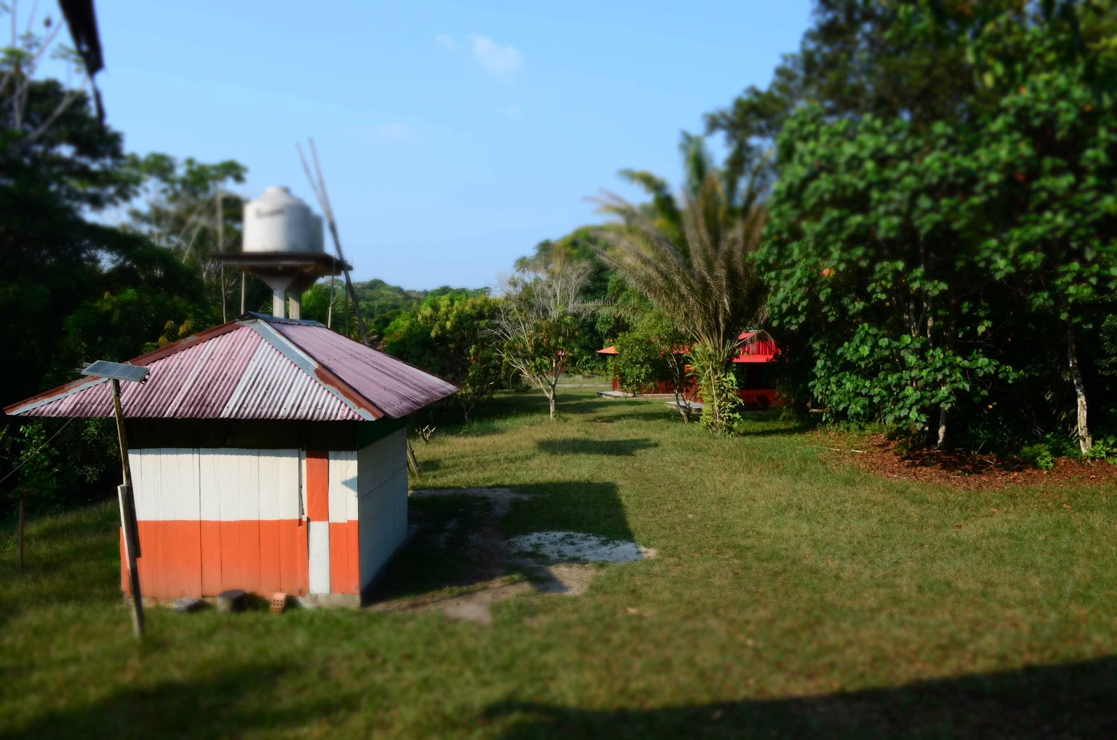 Official, Selva Madre Ayahuasca Retreat Iquitos Peru