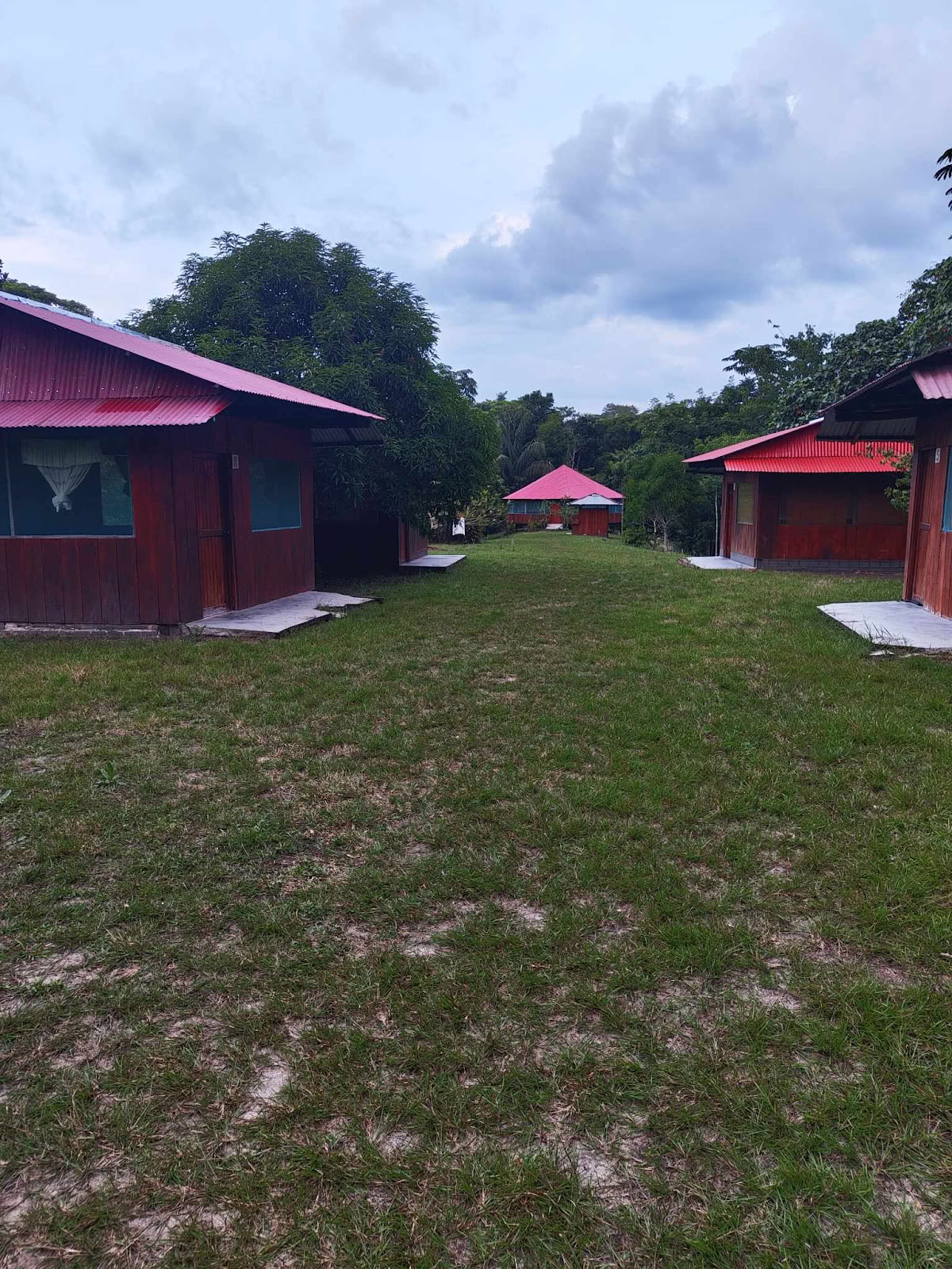 Official, Selva Madre Ayahuasca Retreat Iquitos Peru