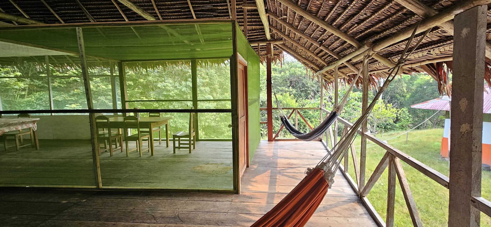 Official, Selva Madre Ayahuasca Retreat Iquitos Peru