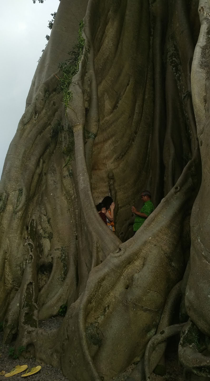 Bali Wellness & Kultur by Taman Usada Bali