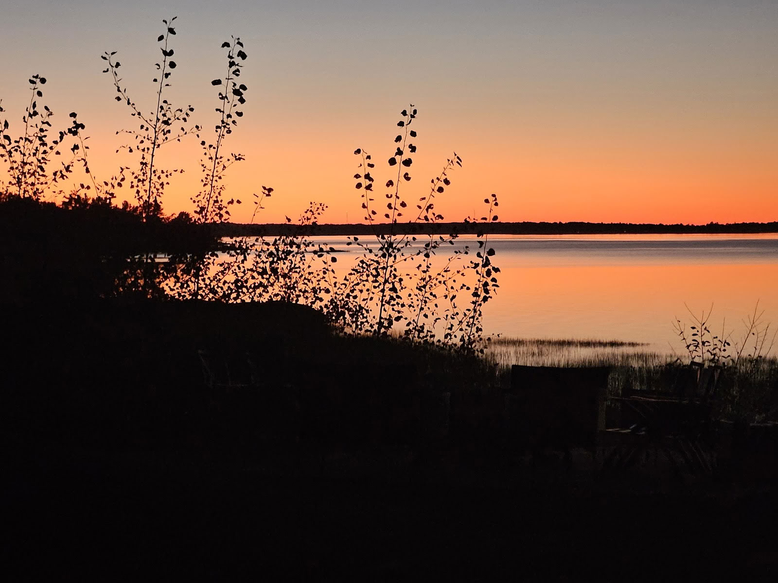 Wild Grounded Retreats