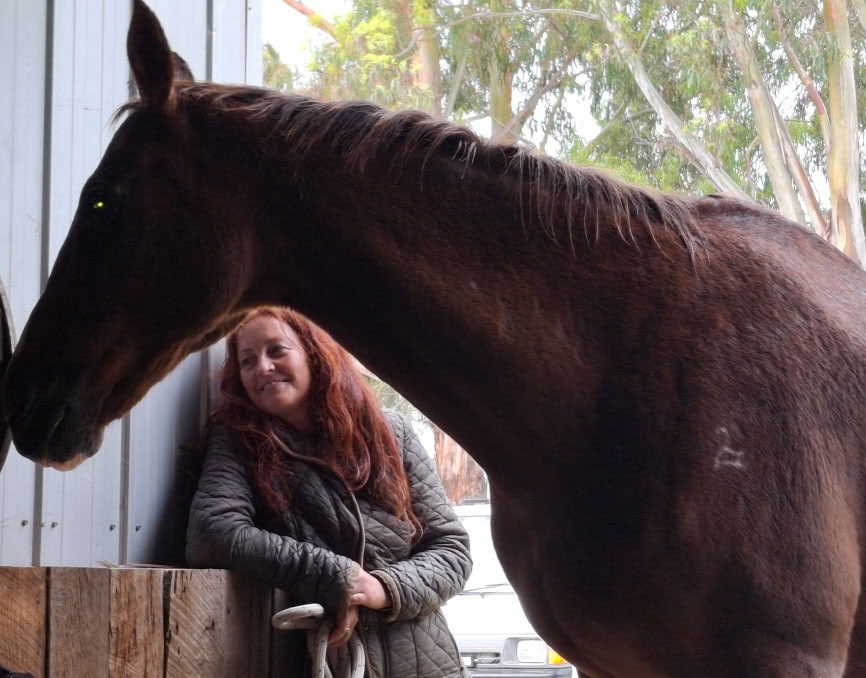 Heart of the Horse- Mit Pferden arbeiten, um Menschen bei der Heilung zu helfen