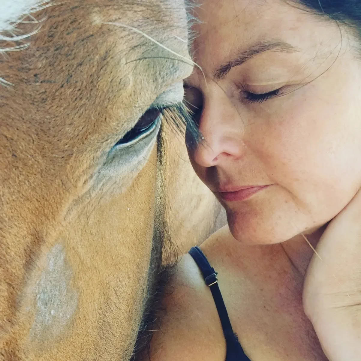 Heart of the Horse- Mit Pferden arbeiten, um Menschen bei der Heilung zu helfen