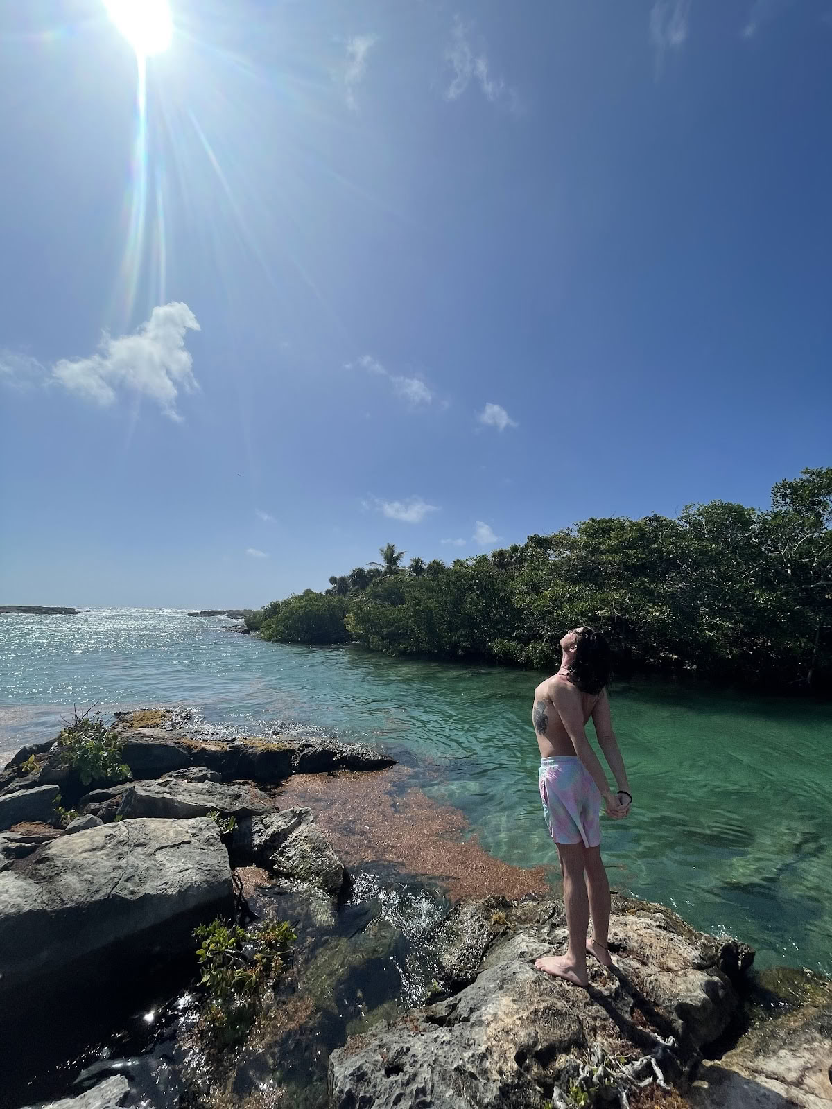 Mi Vida Yoga Retreats Tulum (Büro)