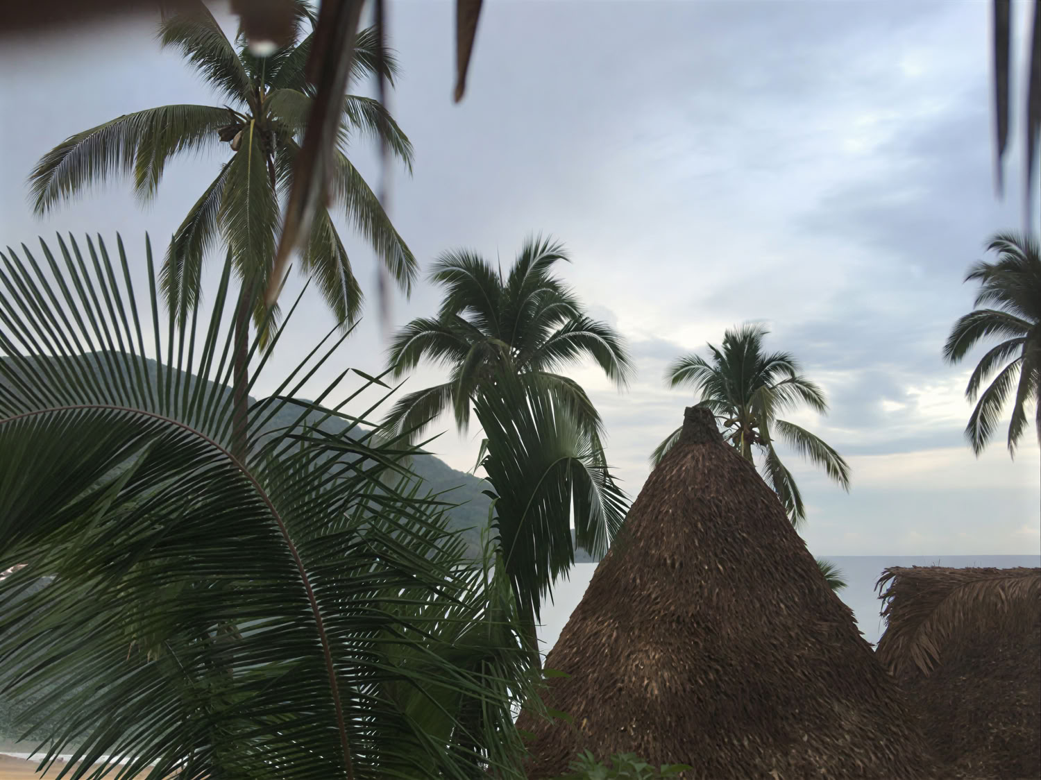 Pura Vida Wellness Retreat