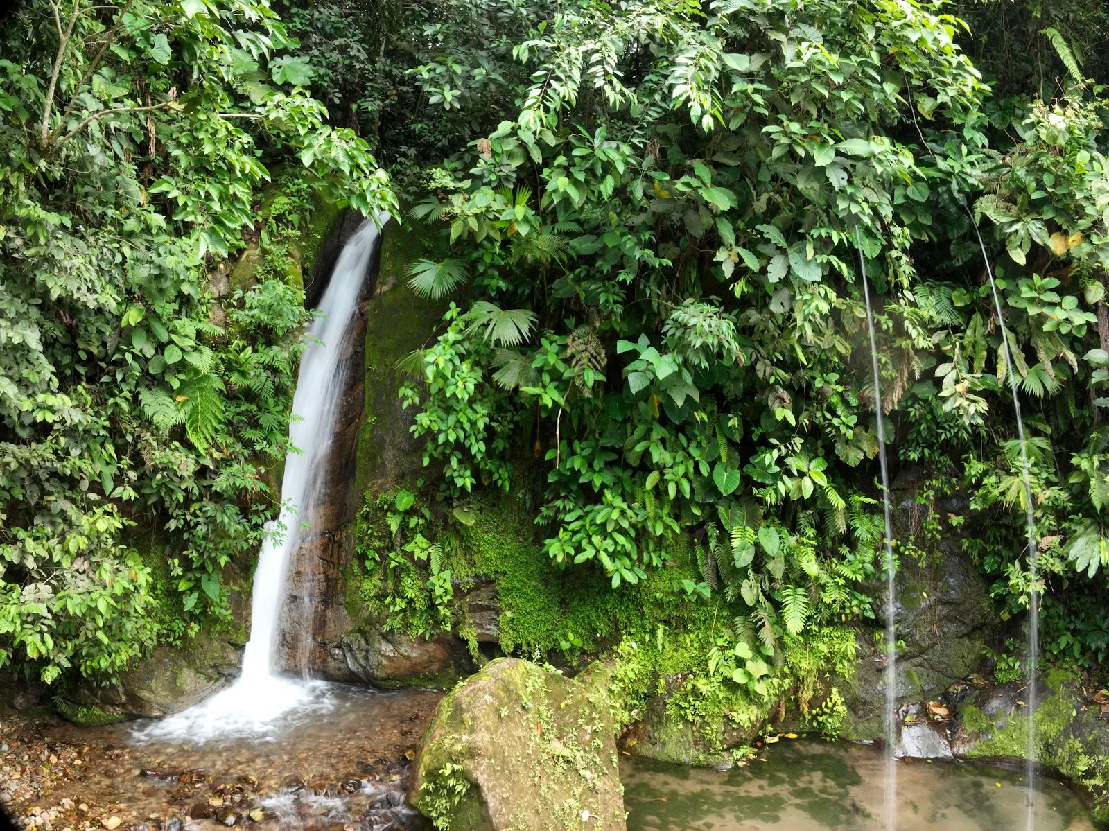 Mahadevi Ayahuasca Retreat Kolumbien