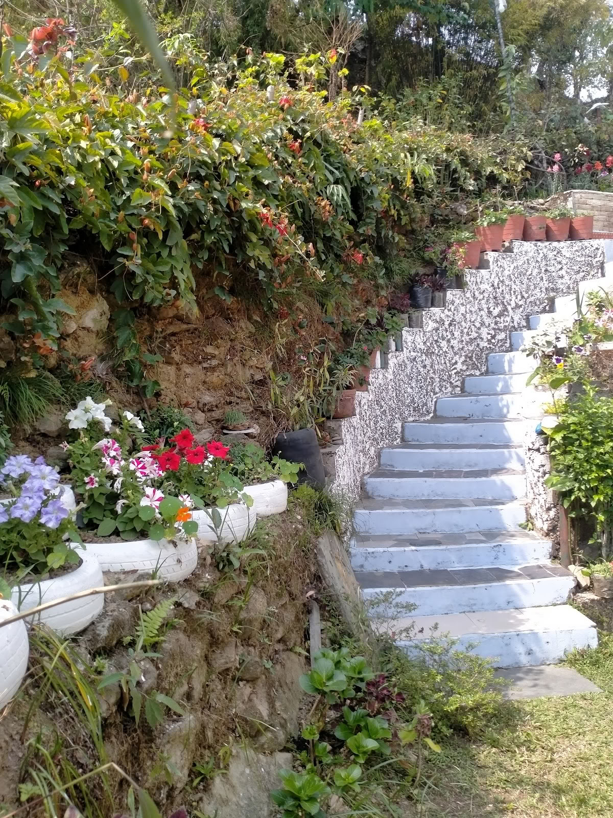 TUSHITA-NEPAL MEDITATIONS-RETREATS