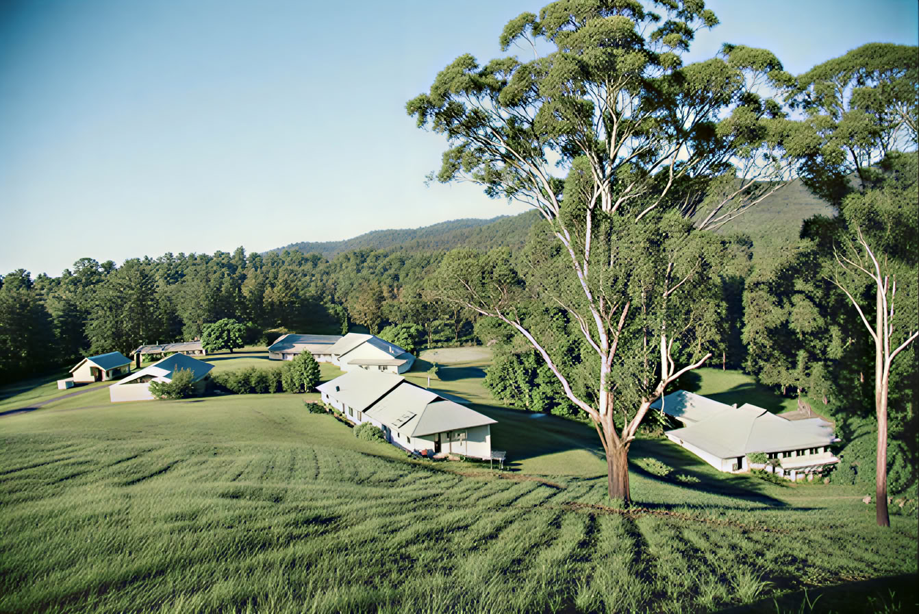 Misty Mountain Lifestyle Retreat