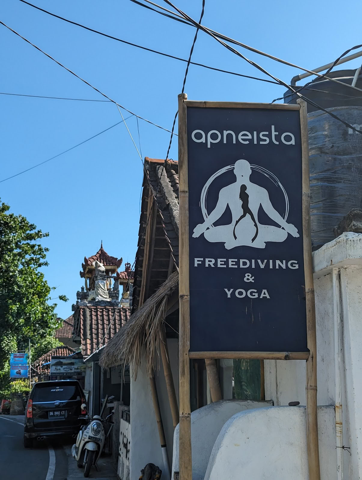 Apneista Freediving- und Yoga-Schule