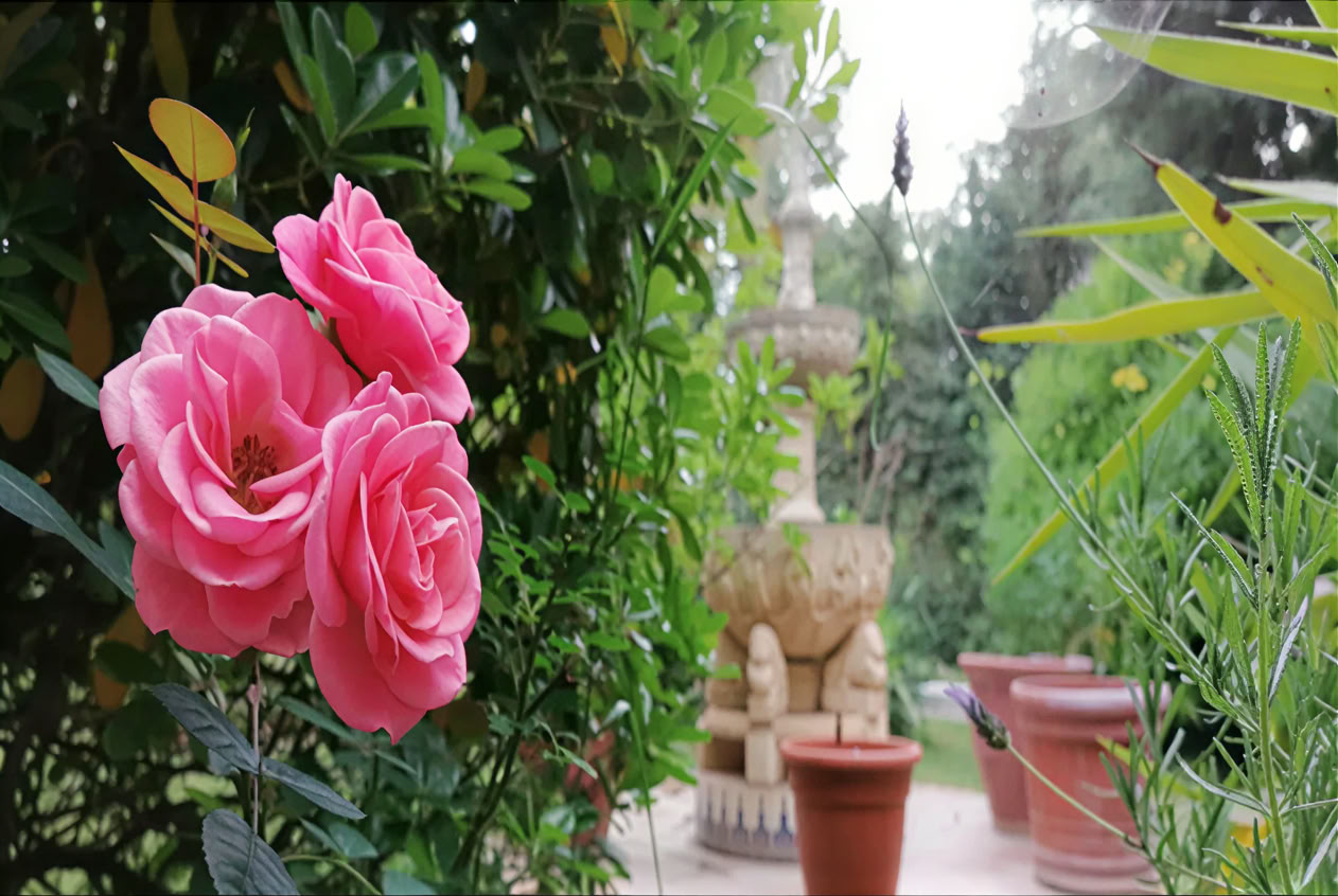 Casa Colibrí (Ganzheitliche Gesundheit)